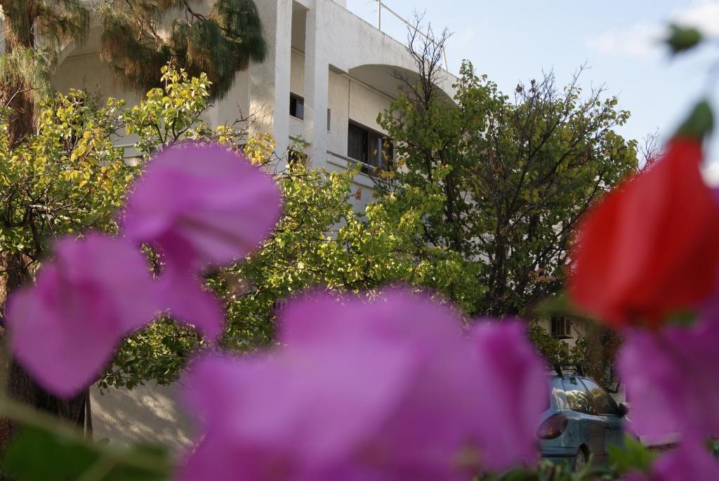 Thalassa Studios Faliraki Ngoại thất bức ảnh